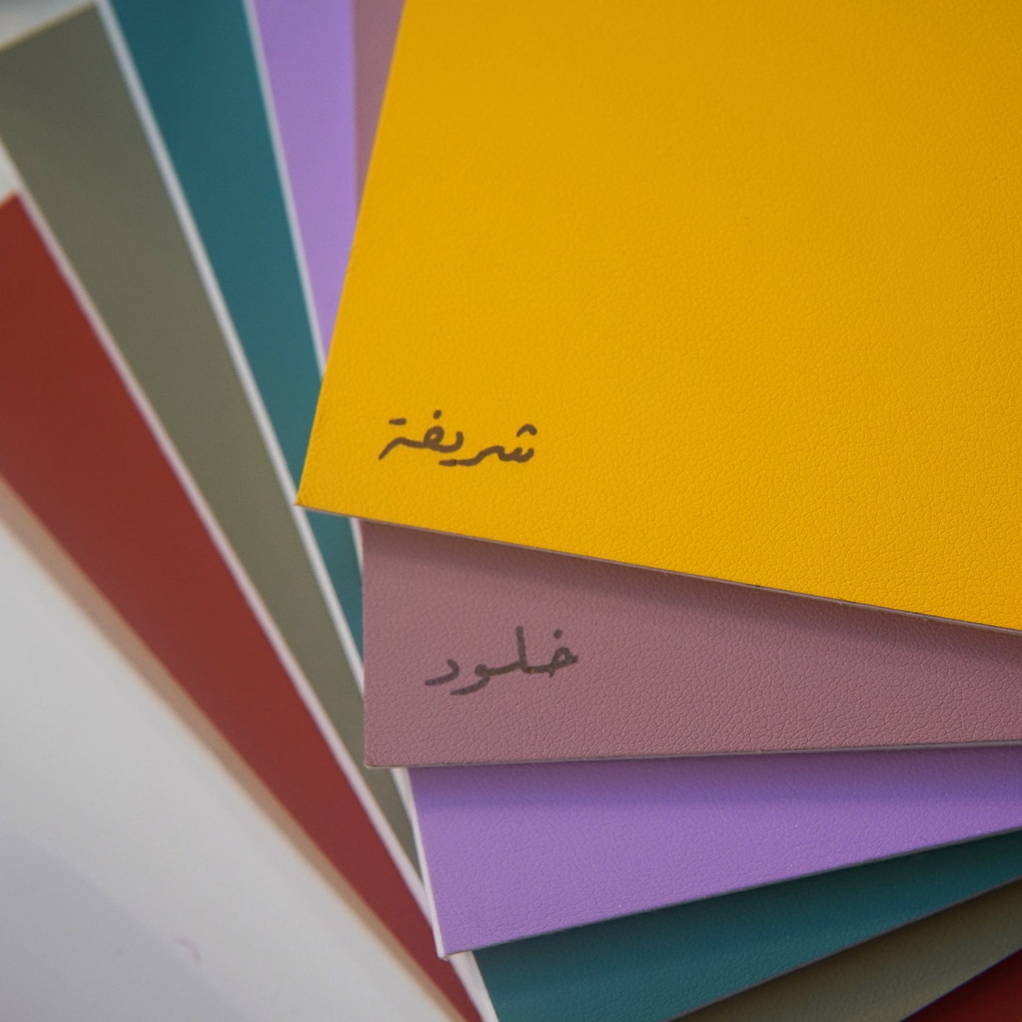 Pocket Notebooks (Set of 3)